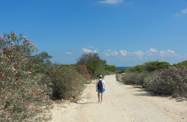 Obraz premium lone traveler on Comino