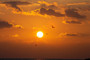 Obraz premium dawn sun in the midst of clouds over the ocean