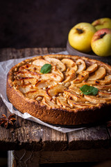 Homemade delicious fresh baked rustic apple pie on dark background