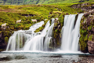 Falls Kirkjoufellfoss