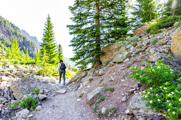 Fototapeta na wymiar Maroon Bells trail view in Aspen, Colorado with woman backpack hiker walking in July 2019 summer on path road view