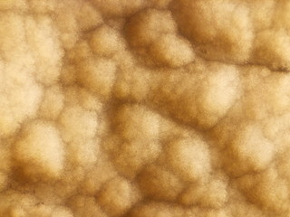 Detail of a translucent slice of natural stone agate. Natural patterns and textures of minerals for background. Natural stone agate surfaces, backgrounds and wallpapers. Seamless abstract background