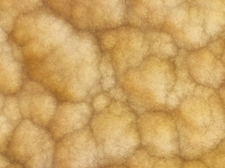 Detail of a translucent slice of natural stone agate. Natural patterns and textures of minerals for background. Natural stone agate surfaces, backgrounds and wallpapers. Seamless abstract background