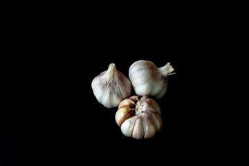 garlic dark tone on black background.