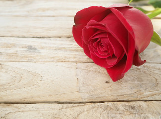 Fototapeta na wymiar red rose on wooden table for background, valentines day background