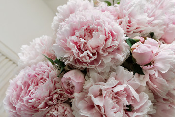 Bouquet of pink peonies on a white background