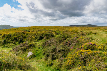 Fototapeta na wymiar Landscape of Dartmoor National Park in late summer