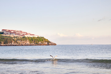 View of a beach at dawn in northern Spain.