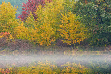 Autumn landscape in fog, Hall Lake, Yankee Springs State Park, Michigan, USA