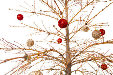 Dried Christmas tree with balls on branches, needles crumbled