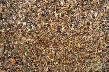 sawdust, manure, soil, texture background. Manure, sawdust, dry leaves, nutrient in the soil for cultivation