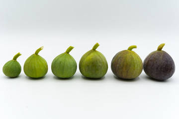 Arrangement of ripe figs on white background. Fresh fig fruits composition from small to big one. Changing of colors from green to purple, healthy nutrition