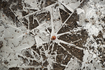 frosted water grey ice pattern