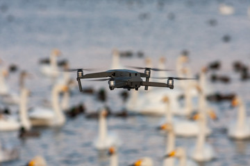 Drone in the air over the lake