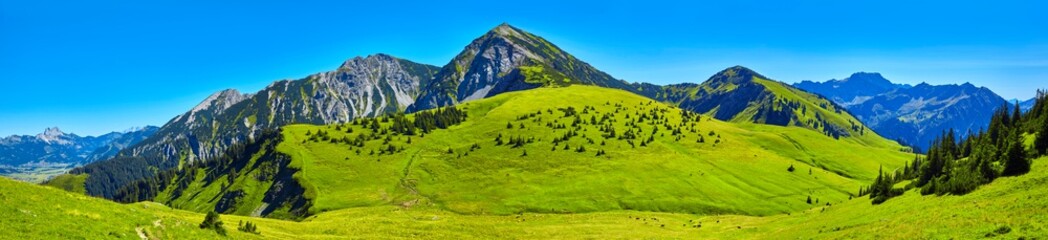 View of the “Tannheimer valley“ in Austria.