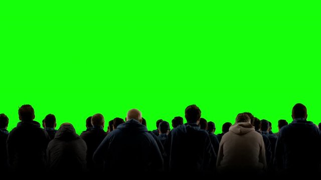 GREEN SCREEN CHROMA KEY Model released back view group of people fans wearing blue clothes celebrating during a sport event. 4K UHD ProRes 422 HQ