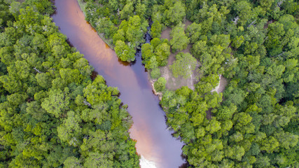 Aerial forest and river