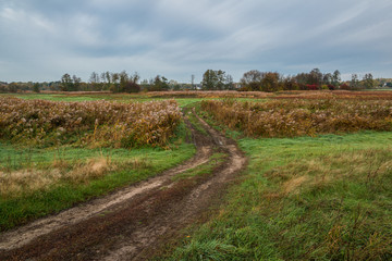 Fototapeta na wymiar Dirt road in Jeziorka valley near Piaseczno, Poland