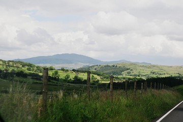 Naklejka premium landscape with mountains