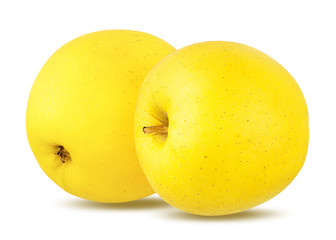 Fresh yellow apples isolated on white background with clipping path