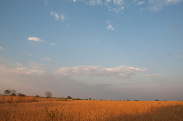 Fototapeta premium 2019_october_brazil_trip