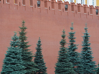 Photography of Red Kremlin Wall. Symbol of government of Russian Federation. Historical heritage...