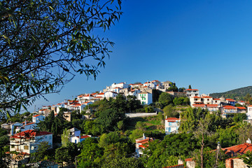 Obraz premium The traditional houses at the old Chora of Alonissos, Greece
