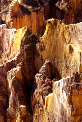 canyon, grands lavaka Ankarokaroka, Parc National Ankarafantsika, Madagascar