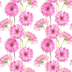 Floral seamless pattern of pink gerbera flowers. Hand drawn watercolor illustration. 