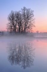 Dawn landscape of foggy Jackson Hole Lake with reflections in calm water, Fort Custer State Park, Michigan