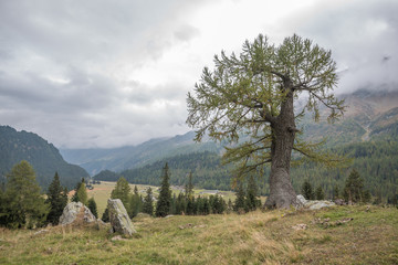 Schweiz, Landschaft in den Hochalpen im Herbst	