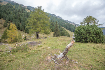 Schweiz, Landschaft in den Hochalpen im Herbst  © schulzfoto