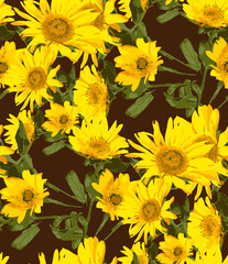 Fototapeta na wymiar Seamless background with sunflowers on dark background