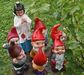 Cute garden Gnomes-snow White and the seven Dwarfs