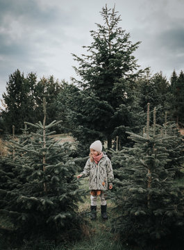Girl standing between fir trees choosing Christmas tree