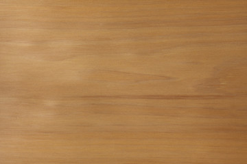 Fototapeta premium Cedr