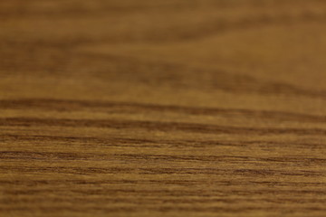 Fototapeta premium タモ