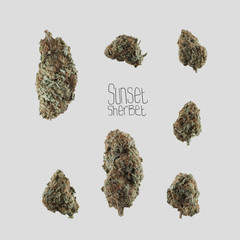 Sunset Sherbet Indica - Medical Marijuana Cannabis Buds isolated