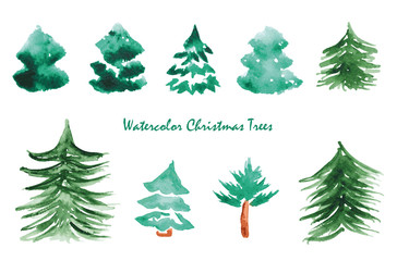 Watercolor set of Christmas Trees. Hand painted illustration