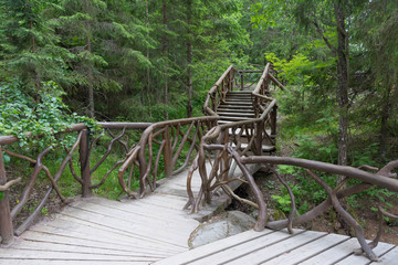 pedestrian paved path in the Karelian forest
