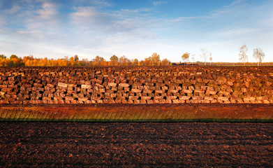 Rows of cutted peat at an excavation side in a peat bog at Northwestern Germany