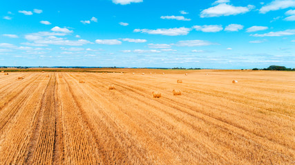 Wheat field after harvest with straw bales at sunset