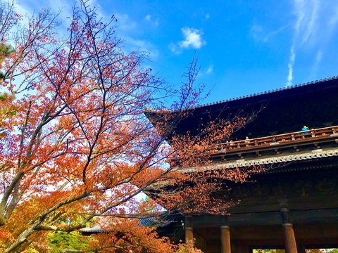日本