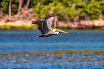 United States Virgin Islands