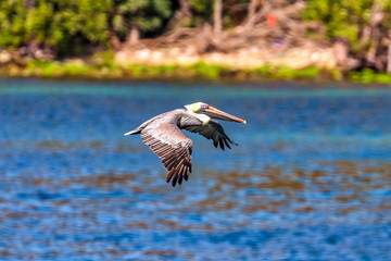 United States Virgin Islands