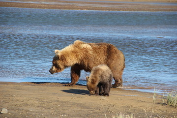 Alaska