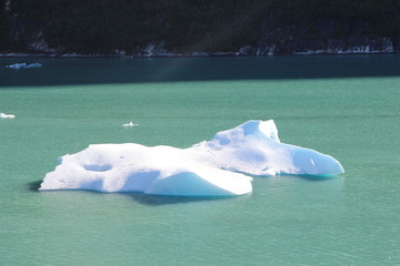 Kreutfahrt Alaska