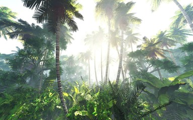 Obraz premium palm jungle in the morning in fog, forest in haze. 3d rendering.