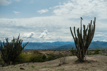 Desierto de la Tatacoa