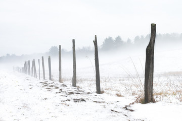 Misty morning in a snow covered country farm field with trees in the background. Fence posts disappear in the foggy distance.